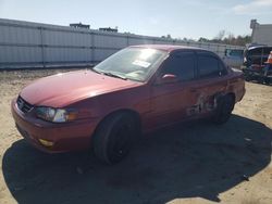 Toyota salvage cars for sale: 2001 Toyota Corolla CE