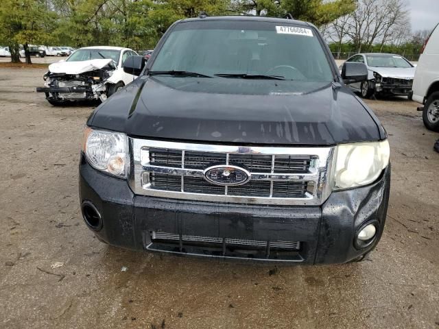 2011 Ford Escape Limited