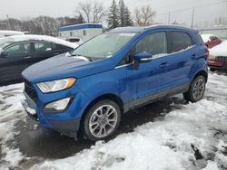 2021 Ford Ecosport Titanium for sale in Ham Lake, MN