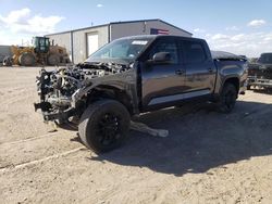 2024 Toyota Tundra Crewmax SR en venta en Amarillo, TX