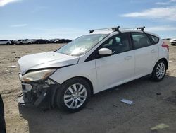 Ford Focus Vehiculos salvage en venta: 2012 Ford Focus SE