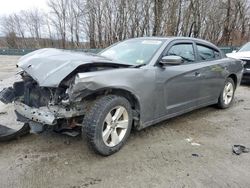 2011 Dodge Charger for sale in Candia, NH