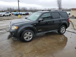 2008 Ford Escape Limited for sale in Louisville, KY