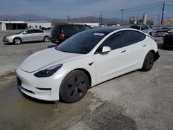 Salvage cars for sale from Copart Sun Valley, CA: 2023 Tesla Model 3