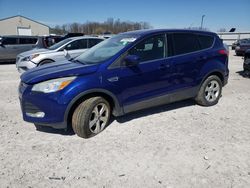 2014 Ford Escape SE en venta en Lawrenceburg, KY