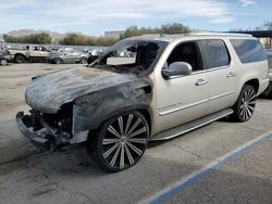 Cadillac salvage cars for sale: 2009 Cadillac Escalade ESV Luxury