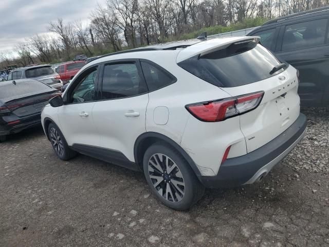 2020 Ford Escape SE Sport