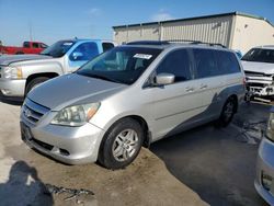 2006 Honda Odyssey EXL en venta en Haslet, TX