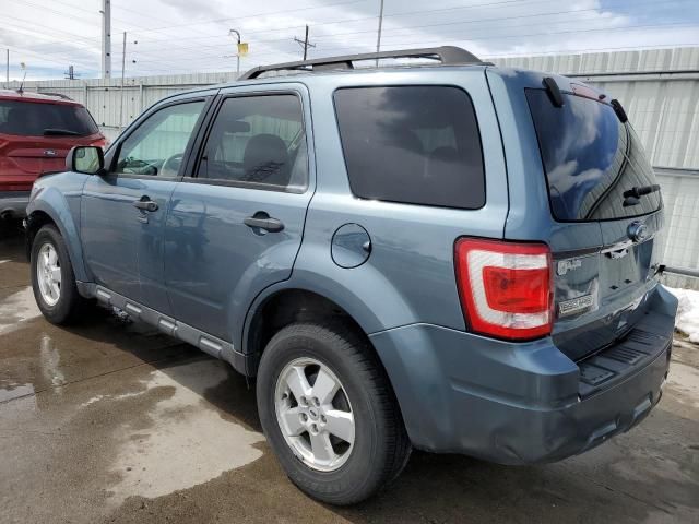 2011 Ford Escape XLT