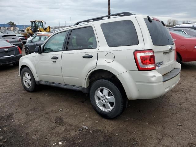 2009 Ford Escape XLT