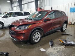 2021 Ford Escape SE en venta en Ham Lake, MN