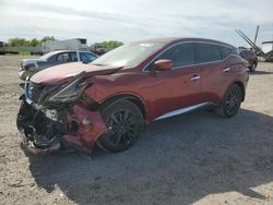 Nissan Murano sl salvage cars for sale: 2024 Nissan Murano SL