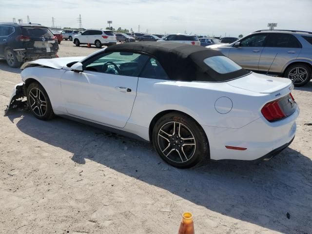 2019 Ford Mustang