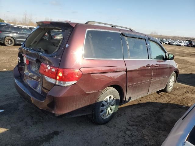 2009 Honda Odyssey EXL