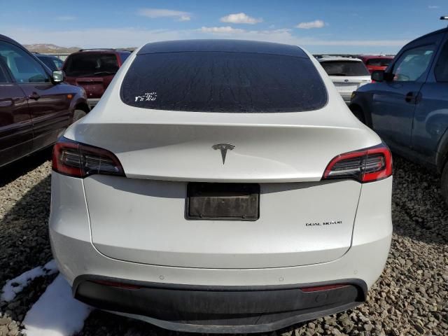 2020 Tesla Model Y