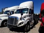 2015 Freightliner Cascadia 113