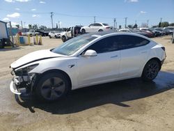 2019 Tesla Model 3 for sale in Los Angeles, CA