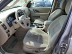 2007 Ford Escape XLT