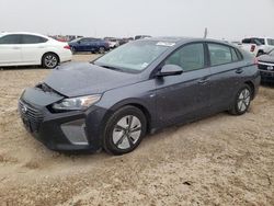 Hyundai Ioniq salvage cars for sale: 2019 Hyundai Ioniq Blue