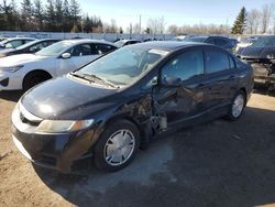 Honda salvage cars for sale: 2009 Honda Civic DX-G