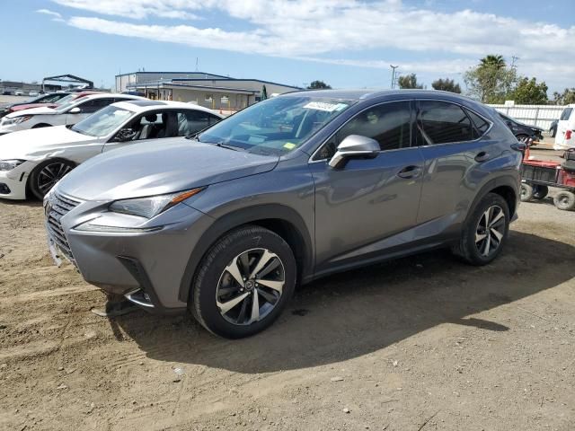 2021 Lexus NX 300 Base