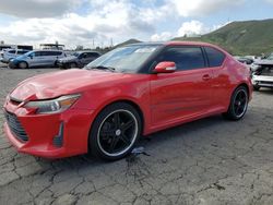 Scion TC Vehiculos salvage en venta: 2014 Scion TC