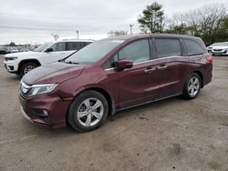 2019 Honda Odyssey EXL en venta en Lexington, KY