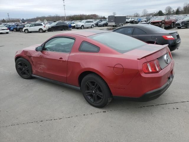 2010 Ford Mustang