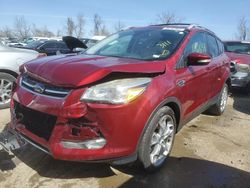 Ford Escape Titanium salvage cars for sale: 2014 Ford Escape Titanium