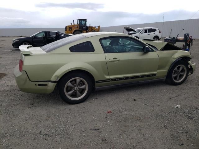 2005 Ford Mustang