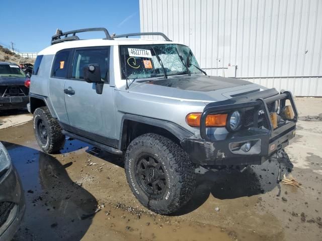 2007 Toyota FJ Cruiser