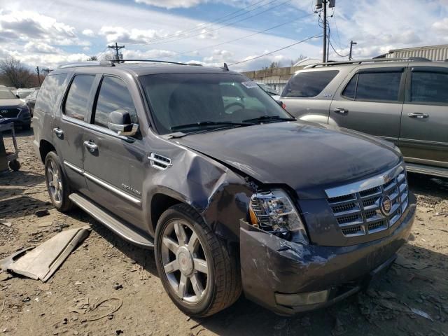 2011 Cadillac Escalade Luxury