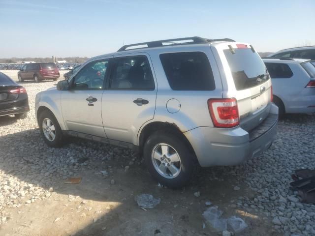 2011 Ford Escape XLT