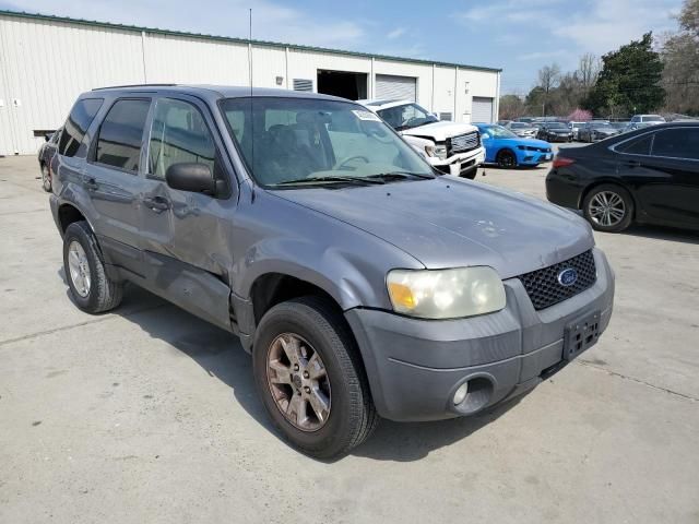 2007 Ford Escape XLT