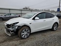 Tesla salvage cars for sale: 2023 Tesla Model Y