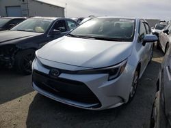 2024 Toyota Corolla LE for sale in Martinez, CA
