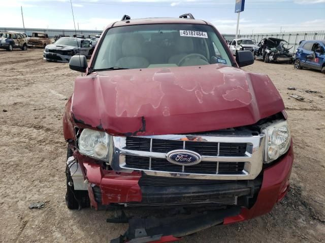 2008 Ford Escape XLT