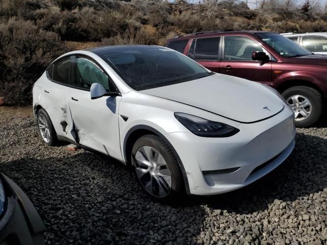 2020 Tesla Model Y