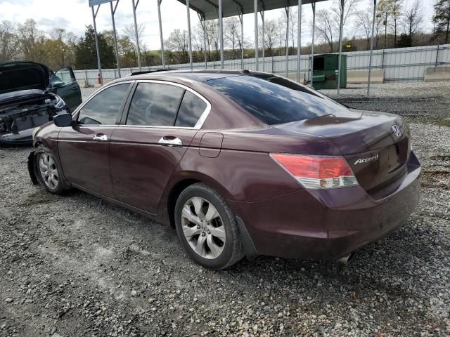 2010 Honda Accord EXL