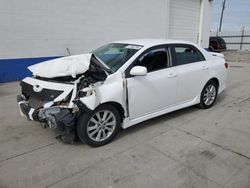 Salvage cars for sale from Copart Farr West, UT: 2010 Toyota Corolla Base