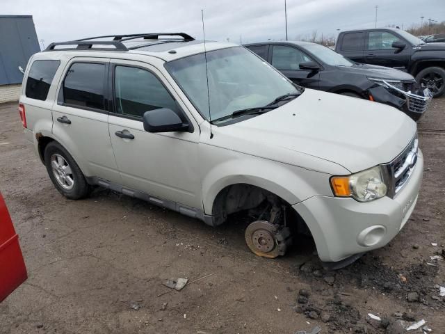 2009 Ford Escape XLT