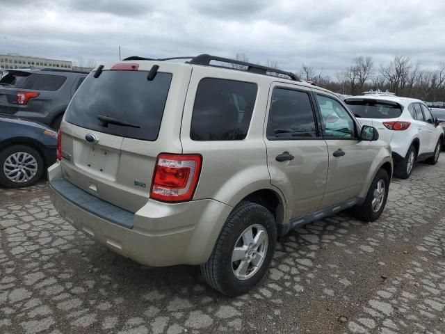 2010 Ford Escape XLT