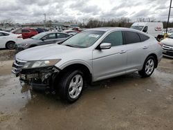 2010 Honda Accord Crosstour EXL en venta en Louisville, KY