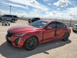 2024 Cadillac CT5 Sport for sale in Andrews, TX