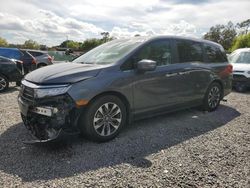 2024 Honda Odyssey EXL for sale in Riverview, FL