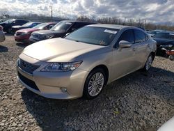 Lexus Vehiculos salvage en venta: 2013 Lexus ES 350