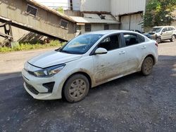 2021 KIA Rio LX en venta en Kapolei, HI