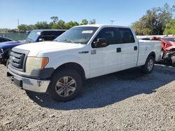 2011 Ford F150 Supercrew en venta en Riverview, FL