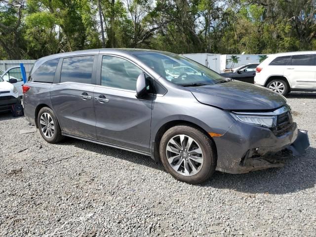 2024 Honda Odyssey EXL