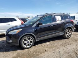 Ford salvage cars for sale: 2013 Ford Escape SE